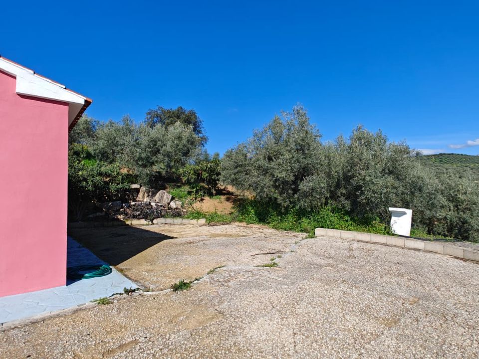 Landejendom i Riogordo, Malaga - foto 5